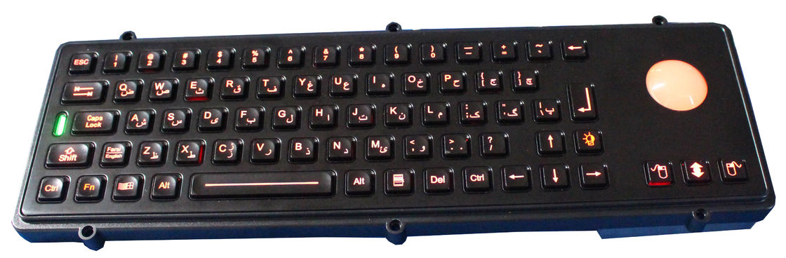 Farsi black panel mount keyboard / illuminated usb keyboard IEC 60512-6